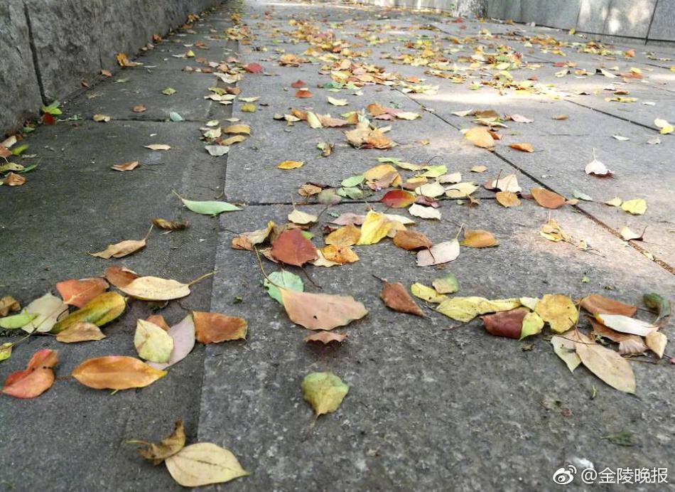 色撸
