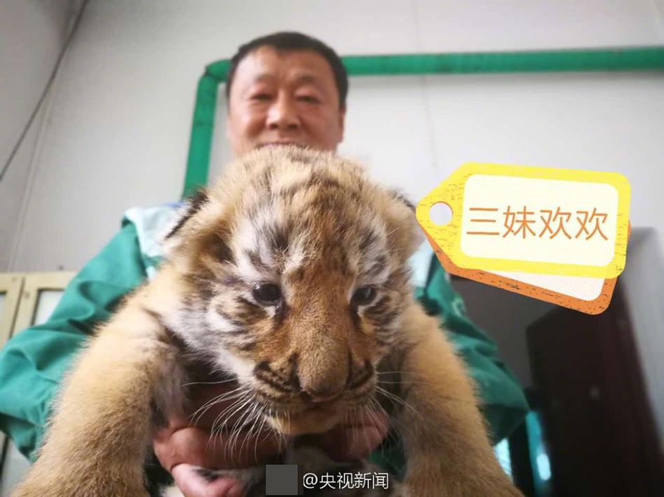 欧美黑人内射夫妻