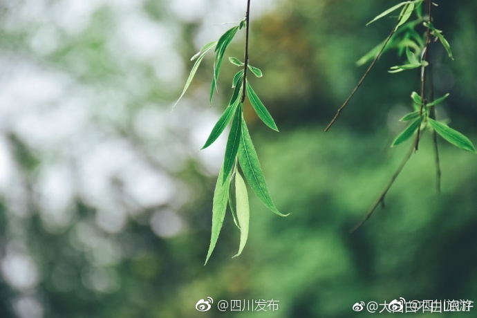 亚洲伦乱人妻