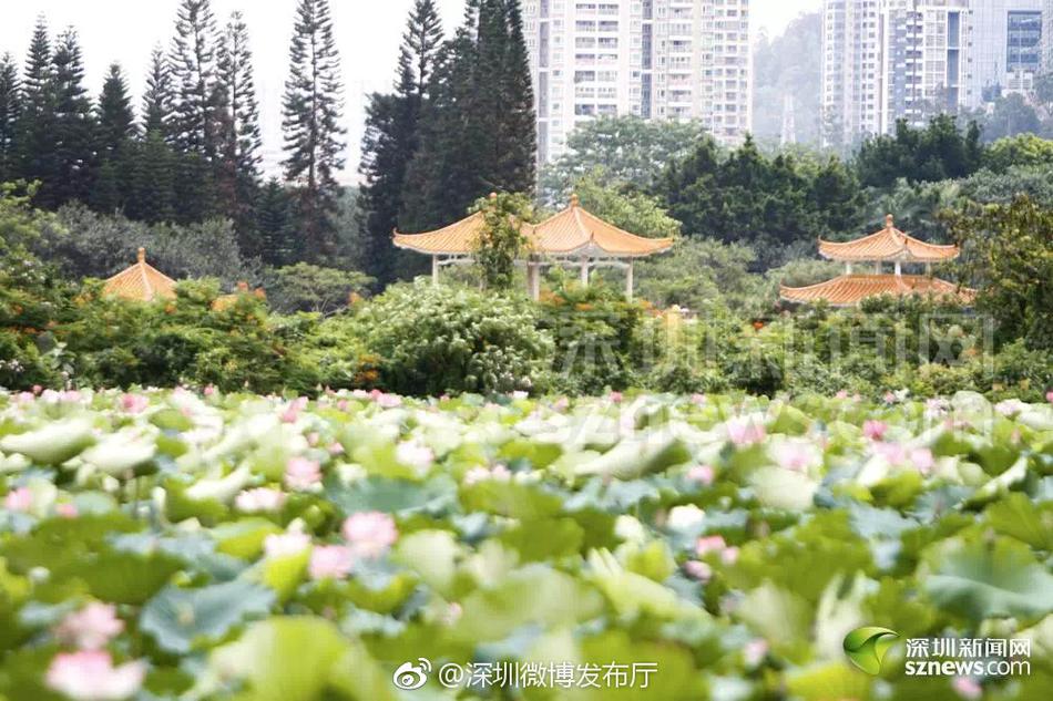 孙子操奶奶的逼