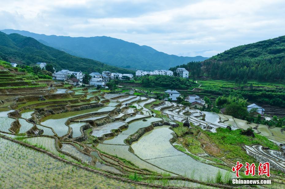 青山光