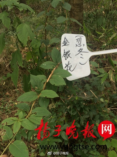最新 黄色 网站