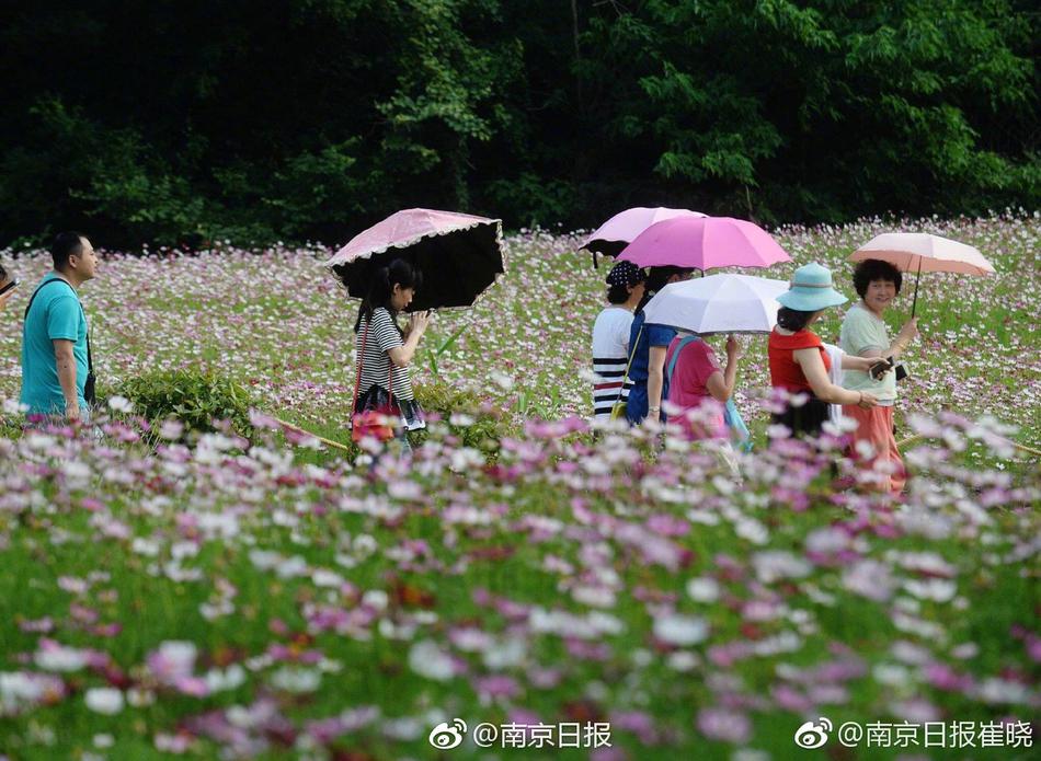 无限资源人妻