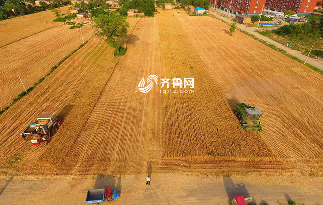 色戒无删在线