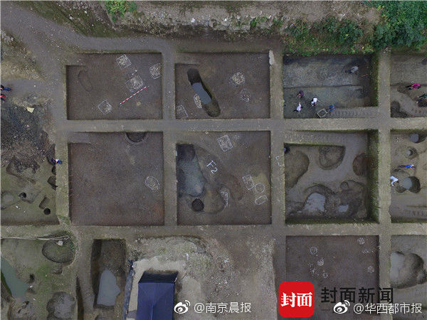 亚洲成熟女人毛毛耸耸多