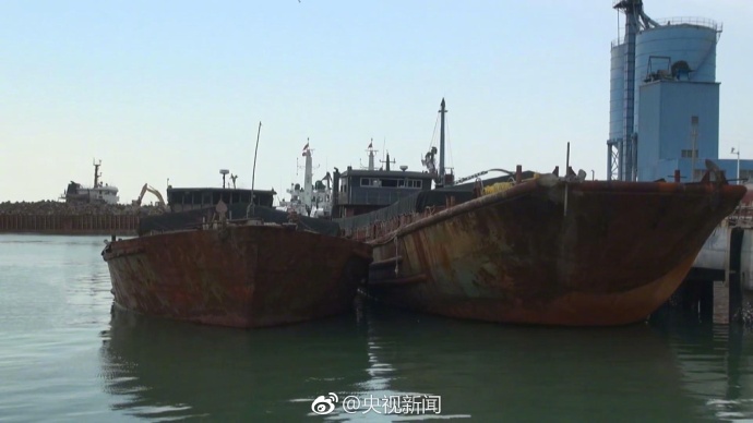 张柏芝黑森林毛又粗又长