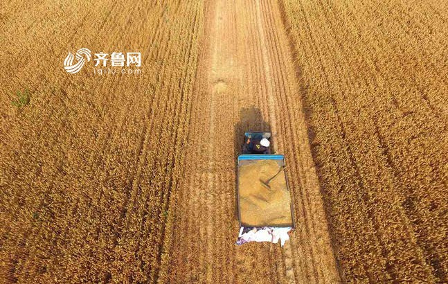 97国产在线视频