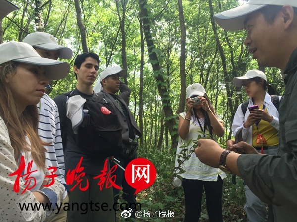 原神女角色被?高潮网站