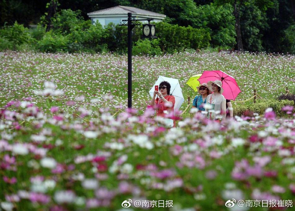 夏敏芝