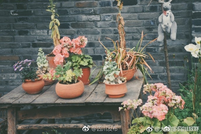 91 精彩刺激对白