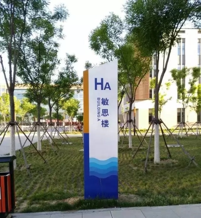 八頭身