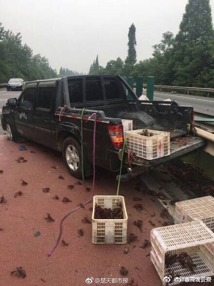 国产精品高清网站