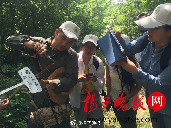 看三级黄色片