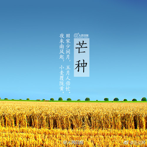 鲍鱼APP