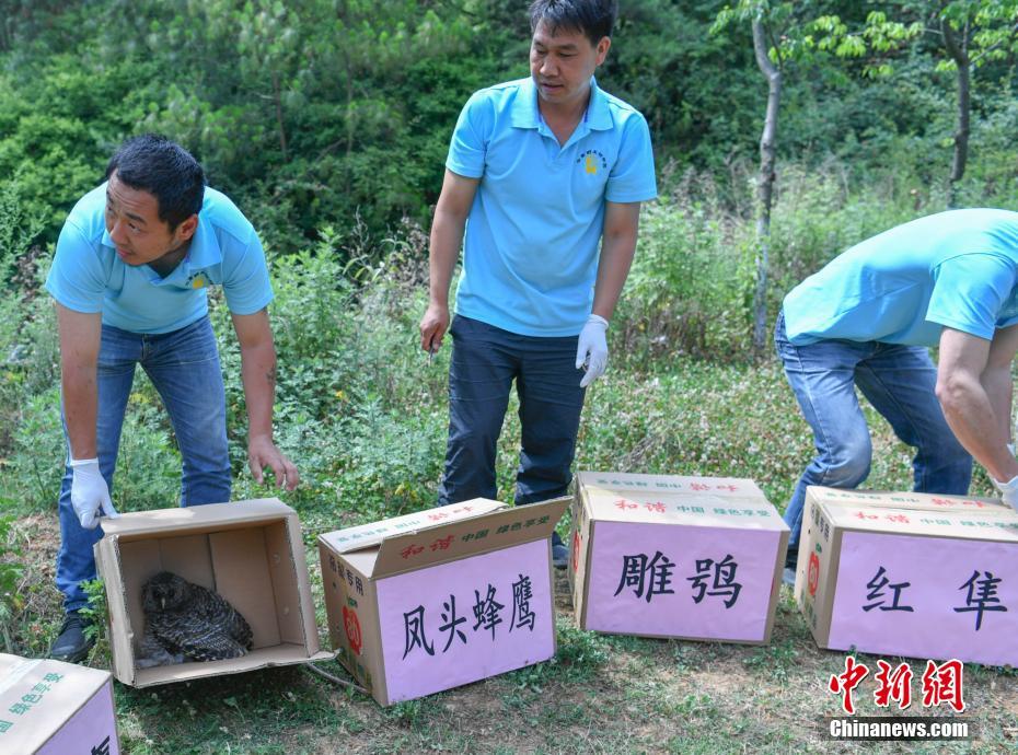 欧美A级网站