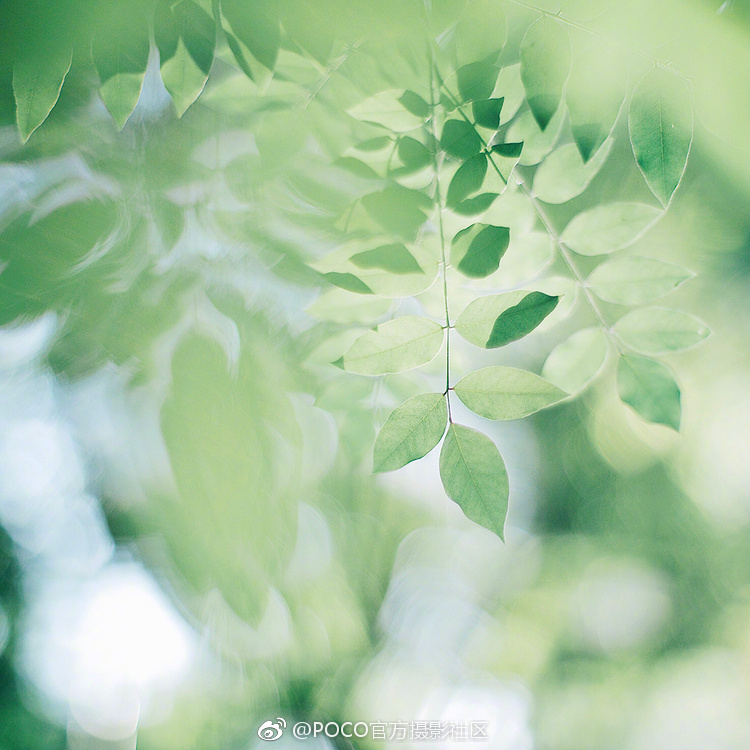 我要看黄色免费下载视频