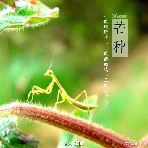 有黄色网址吗