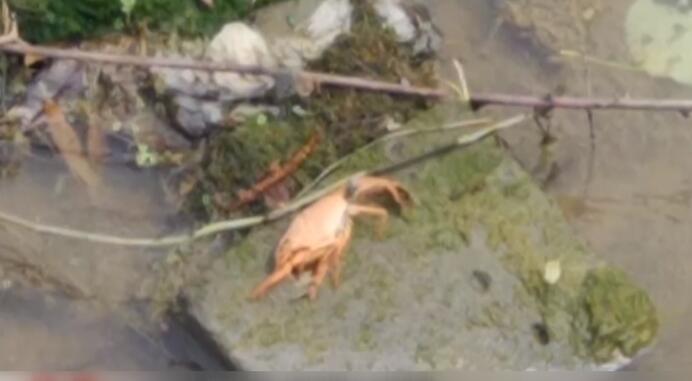 黄色视频网站137人体艺术