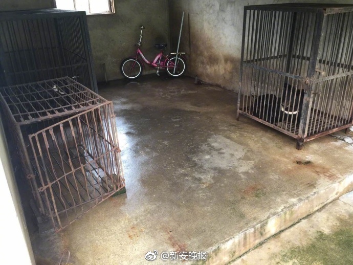 黄色片Bb欧美与中国性爱