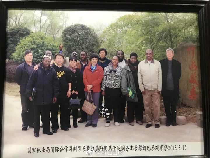 黄色孕妇一级网站