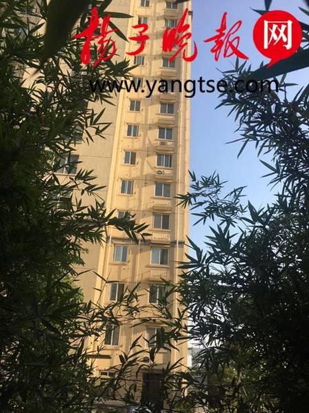36G大奶