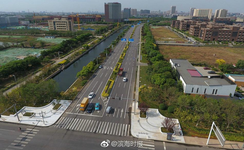 鲁大师在线观看免费下载电视剧