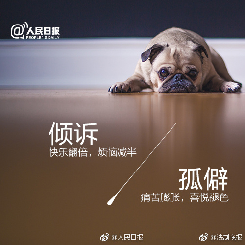 AI鞠婧祎裸被 高清网站