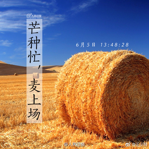 老太婆亂伦电影