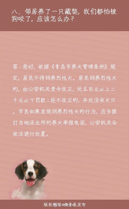 勉费看黄色大片