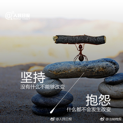美國成人展