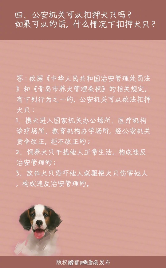 叼嘿网站