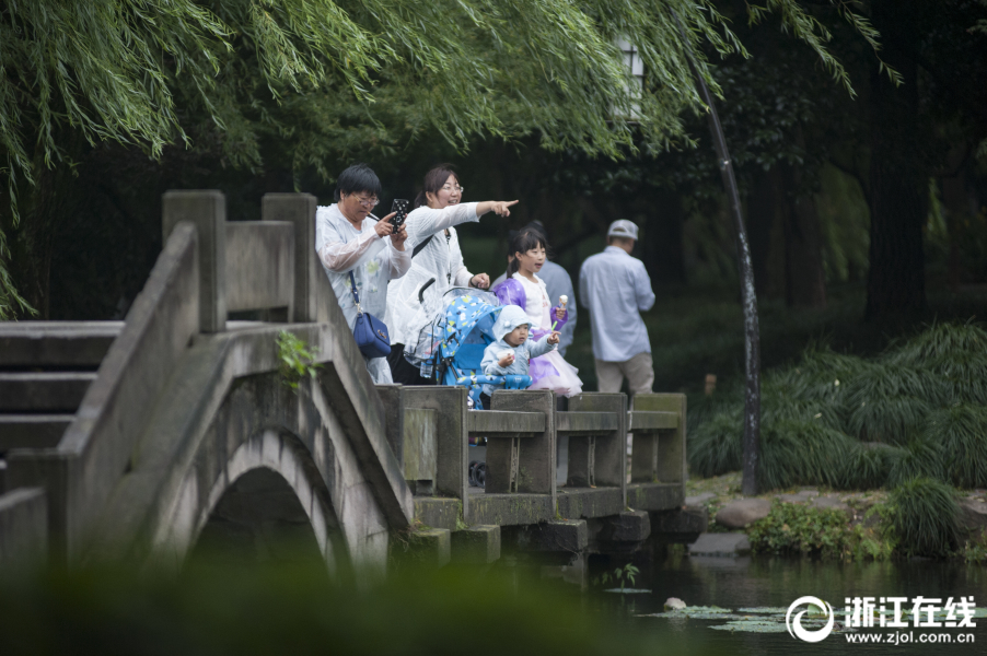 朋友人妻少妇精品系列