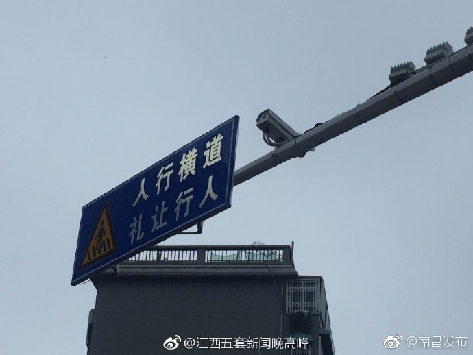 无马毛片无马