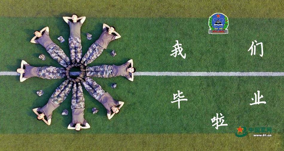动漫 色情 影片