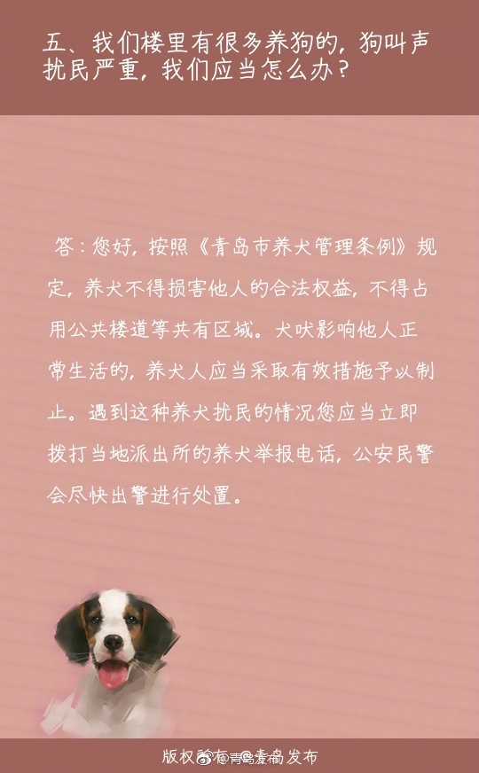 毛片资源