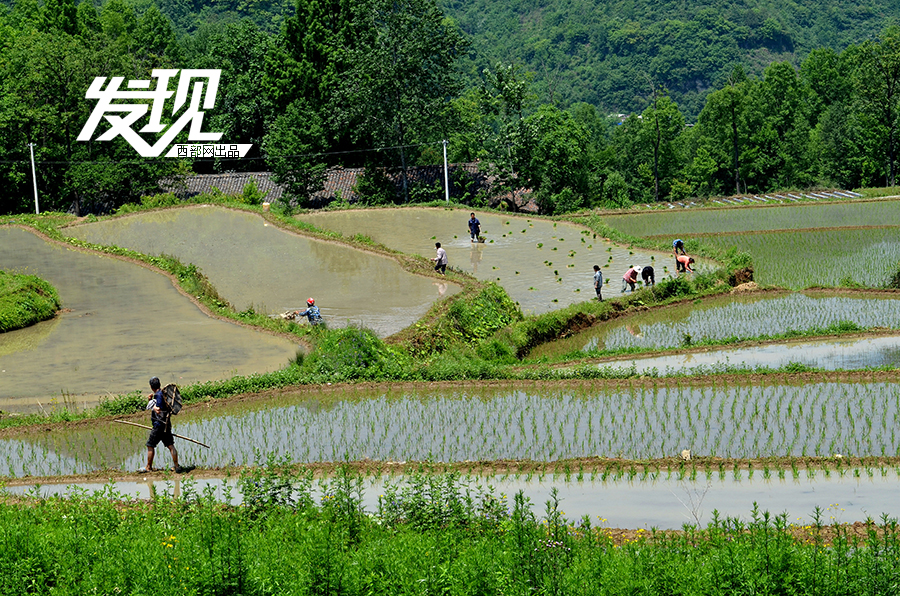 黑人巨粗进入范冰冰