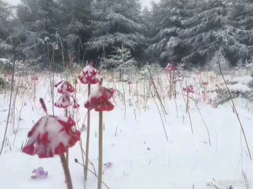 潘金莲一级婬片AAA