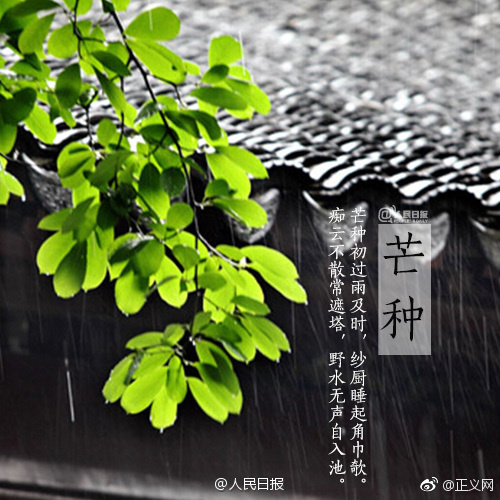 饥渴人妻欲求不满在线