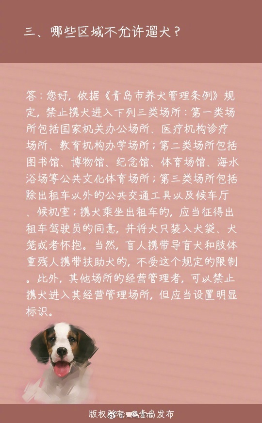 纲手被扒开腿 同人网站91