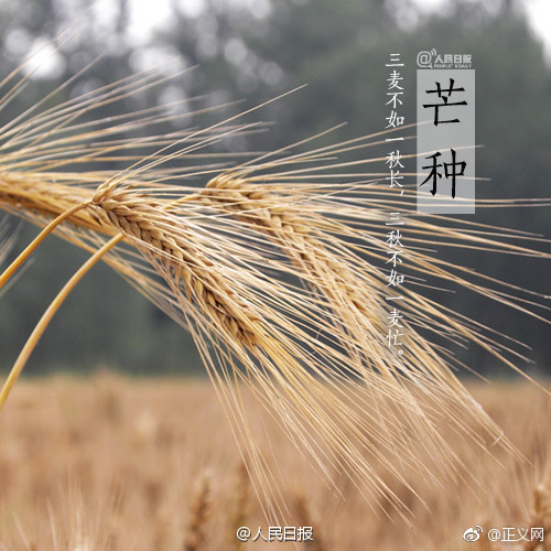 少妇富婆野战Hd