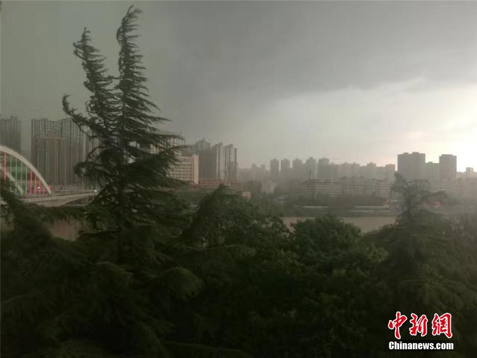 迷你世界