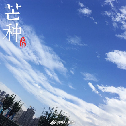 国产AV大片