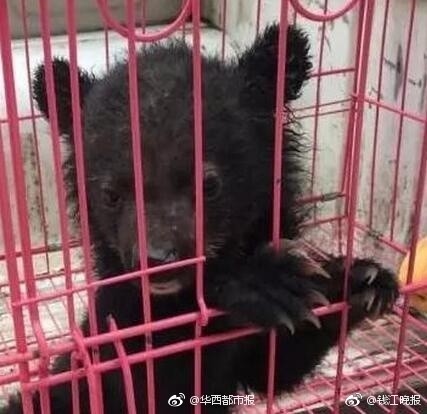 国语对白做受   69