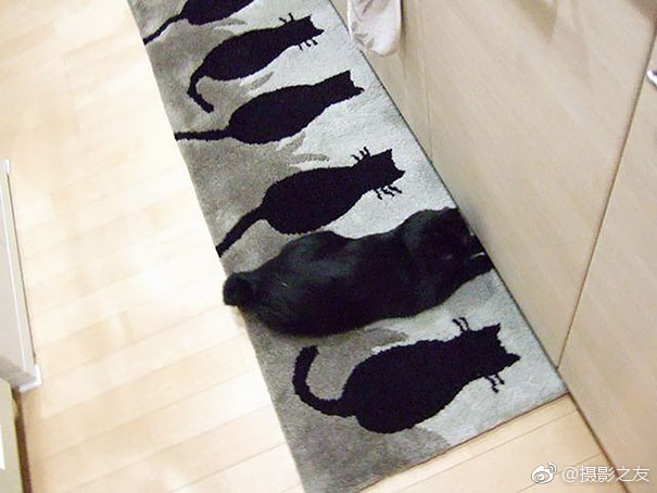 欧美诱惑之裸体美女
