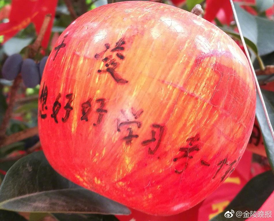 肥胖老女人特一级毛片