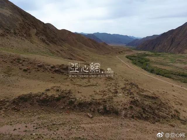 麻豆AV苏娅苏语棠无删减版
