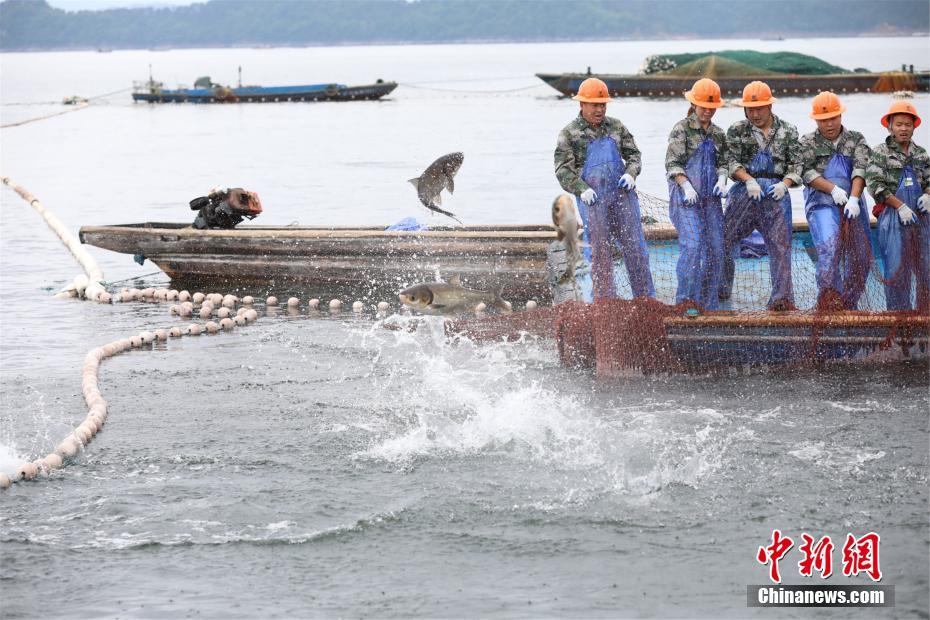 阴道射精