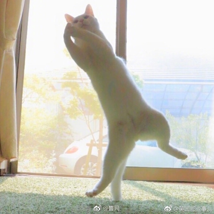 偷拍日本美女厕所Xxhd