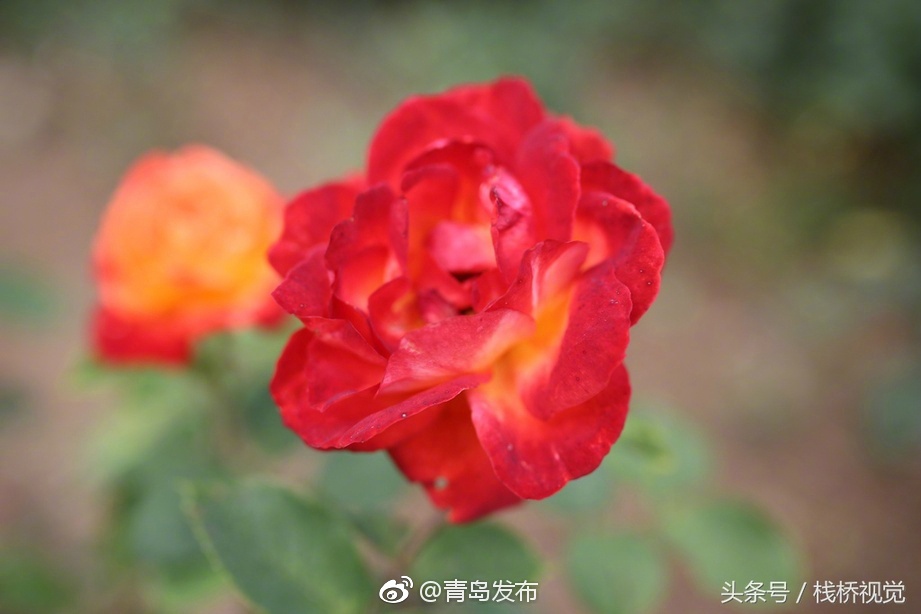 www.黄色片