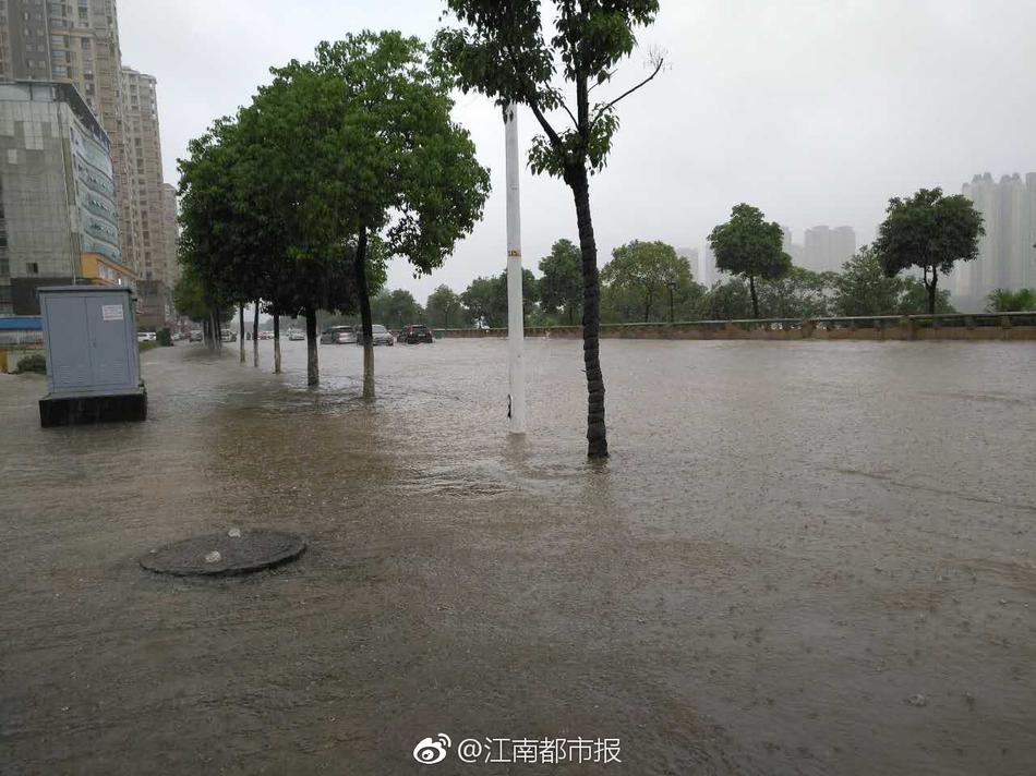 妲己好大 好爽 湿透了